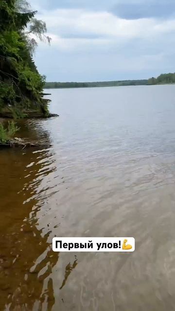Поддержим пацана! Первый в жизни улов! У фидеристов +1 в команде! #рыбалка #детство #сын #гордость