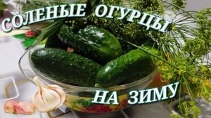 Самый быстрый и простой рецепт засолки огурцов на зиму холодным способом без уксуса и стерилизации