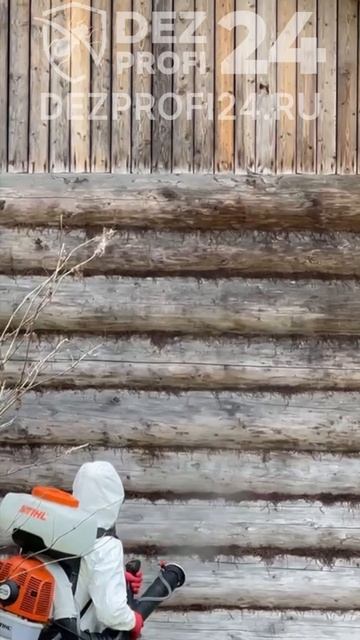 Уничтожение короеда