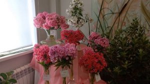 Выставка флоксов в С-Пб