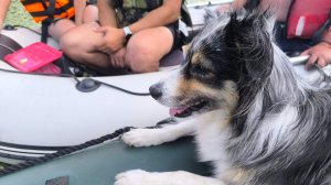 Спасибо Селигер! Отдых удался!