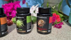 ПАУТИНЫЙ КЛЕЩ ВРАГ НОМЕР ОДИН ДЛЯ ОГУРЦОВ!