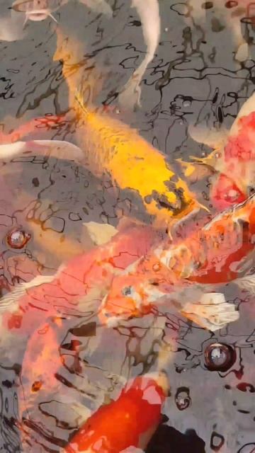 Ну, очень голодные рыбы смотреть онлайн