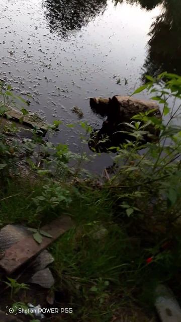 рыбалка смотреть онлайн