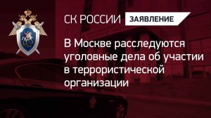 В Москве расследуются уголовные дела об участии в террористической организации