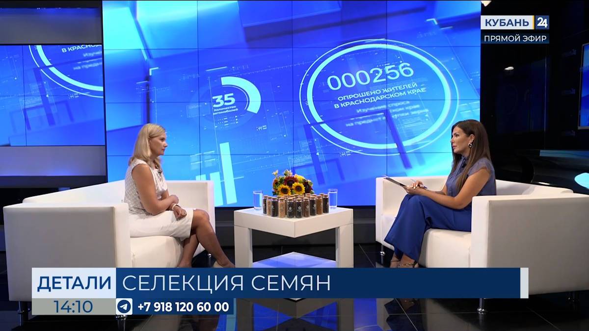 Кубань 24 Эфир