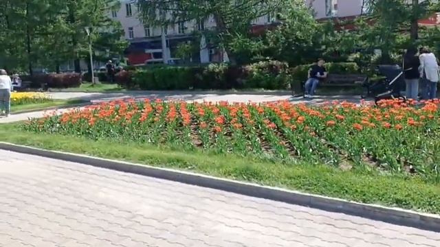 105. День Победы в Барнауле