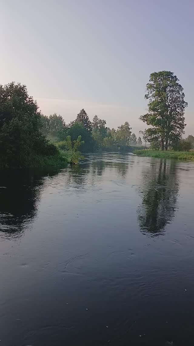 утро на реке Истра смотреть онлайн