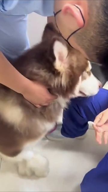 Электрик - миллионер!