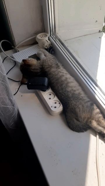 люся смотреть онлайн