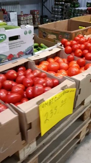 ДОБРОЦЕН ЦЕНЫ🤦♀️