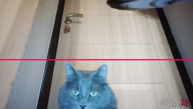 Rutube_account_17825695