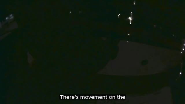 Как полицейские задержали массового стрелка из Миннесоты. Криминальные истории #32