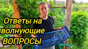 КУПИЛИ ДОМ В ДЕРЕВНЕ | Ответы на волнующие вопросы | Дом в деревне |Деревенские хлопоты