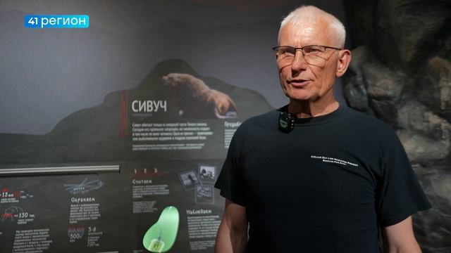 КОЛИЧЕСТВО ЩЕНКОВ СИВУЧЕЙ РАСТЁТ У БЕРЕГОВ КАМЧАТКИ • НОВОСТИ КАМЧАТКИ смотреть онлайн