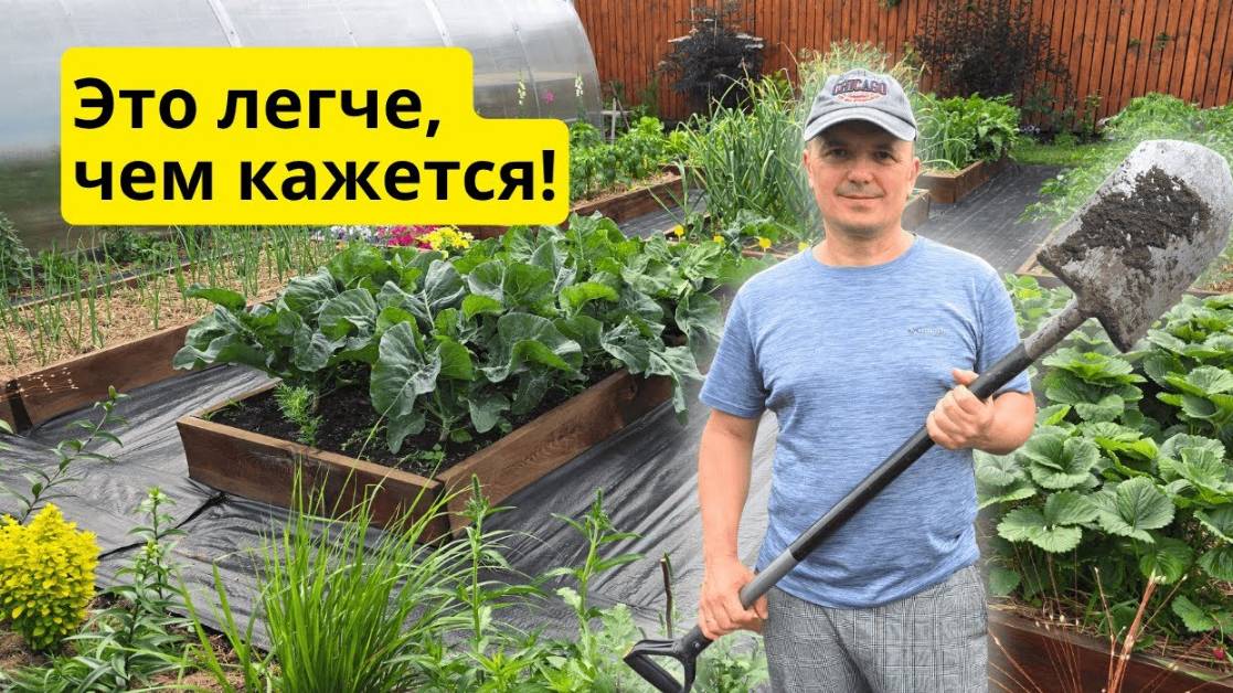 Сделайте почву на грядке СУПЕР плодородной всего за ДВА месяца! смотреть онлайн
