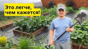 Сделайте почву на грядке СУПЕР плодородной всего за ДВА месяца!