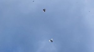 8.08.2025г Подъем Новичков!!!