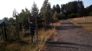 Леди -  Автор музыка и поёт Алексей Брянцев