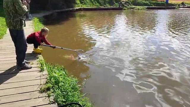 Клев продолжается смотреть онлайн