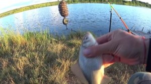 Рыбалка на озере голодный карп