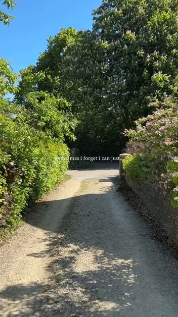 YouTube с переводом