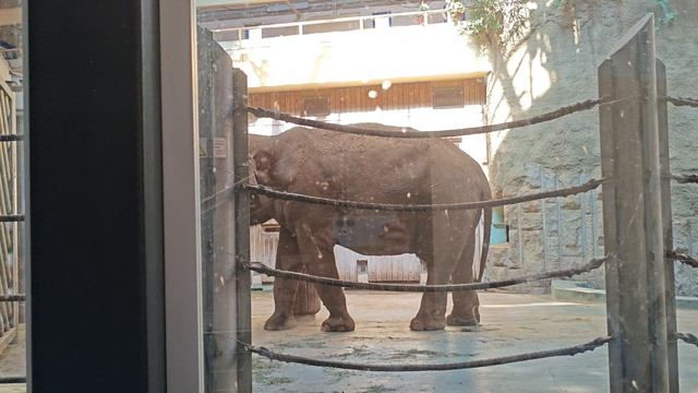 Зоопарк🐧🐵