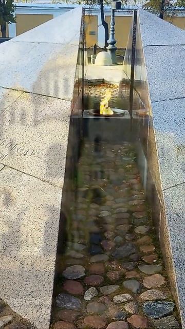 Светлана Кутузова