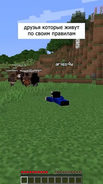 Не позволяйте никому определять границы вашего мира. ТГК в профиле🫑. #майнкрафт #minecraft #мем