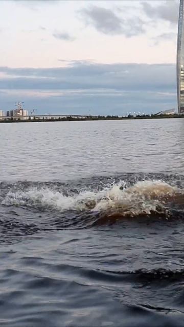 Светлана Кутузова