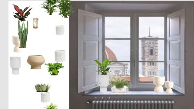 Мастер-класс про грамотное озеленение подоконника