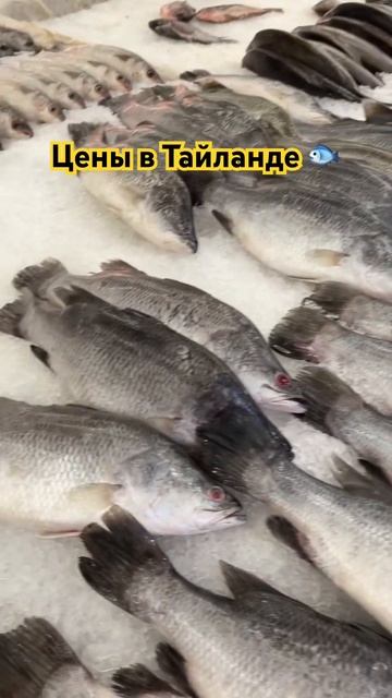 МНОГОДЕТНЫЕ БЕЗ ТОРМОЗОВ