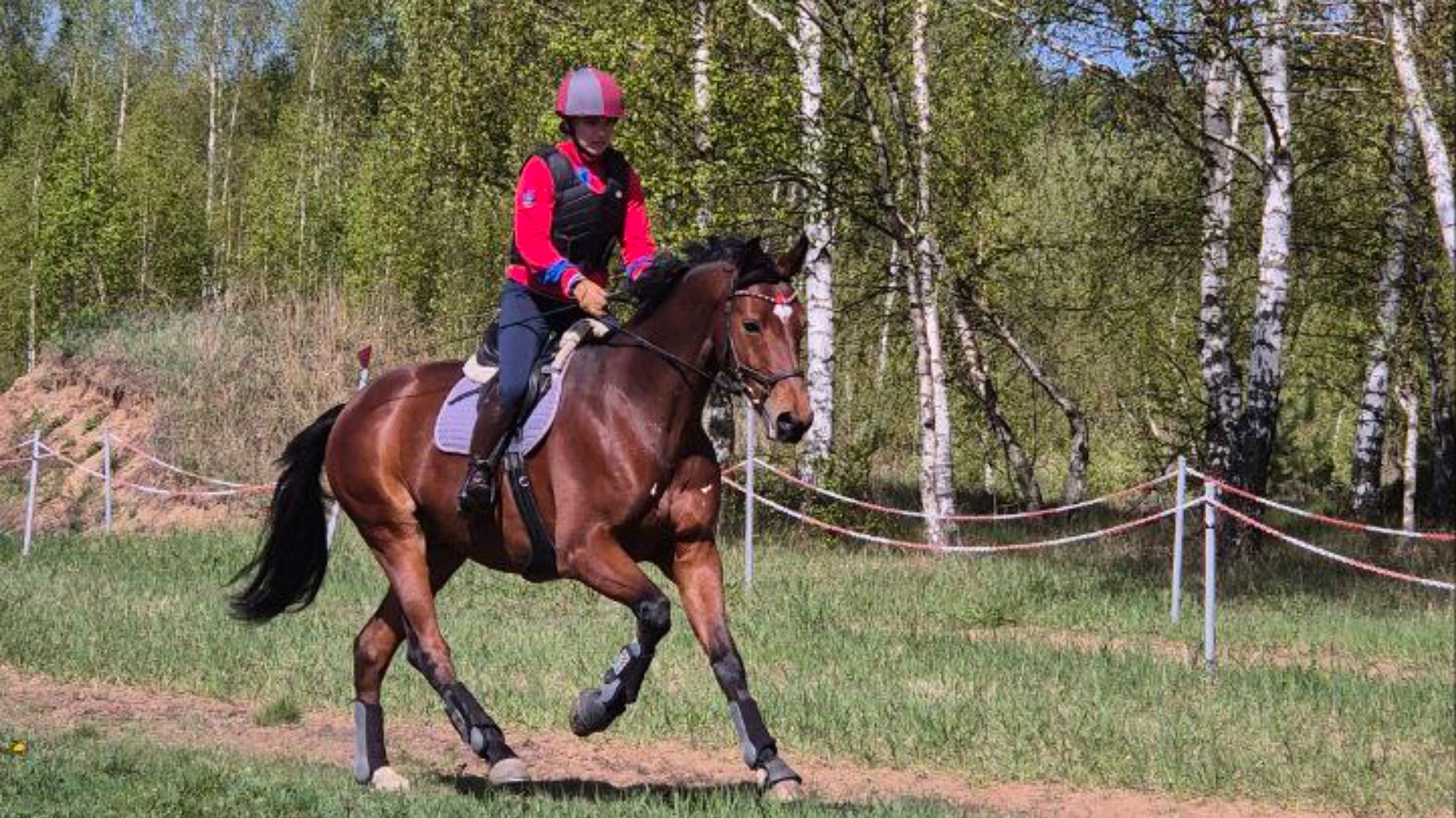 Конный спорт- это красиво 😍