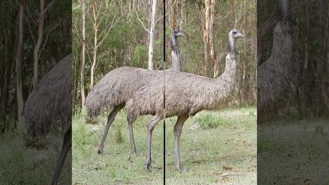 Это интересно-51