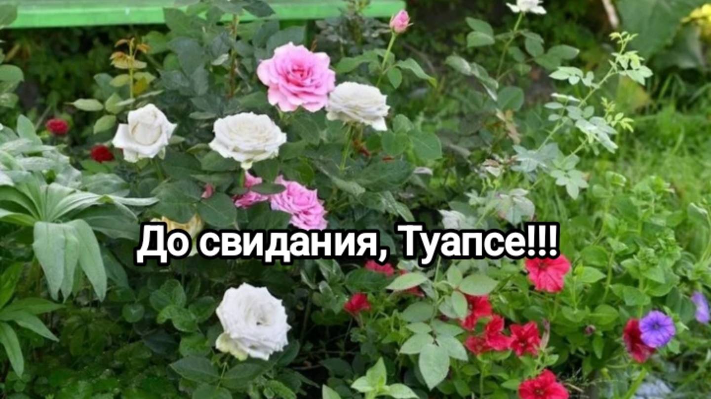 Путешествуем на🚗 Машине. Прощаемся с родными, морем. До свидания, Туапсе!!!