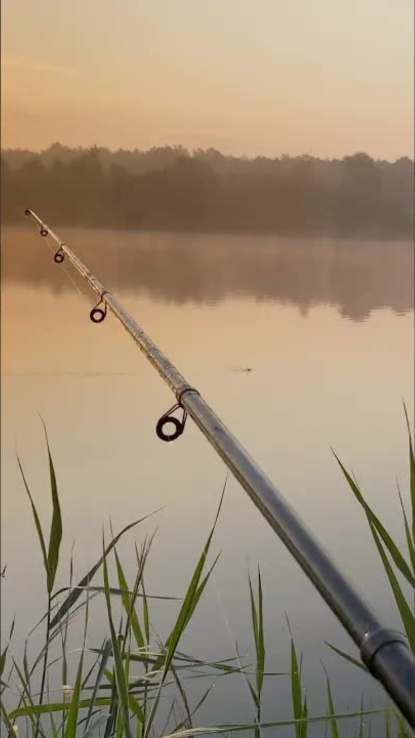 (#рыбалка #рыбалка2025 #щука #окунь #спиннинг #фидер #ловляналива #донка #летняярыбалка #август смотреть онлайн