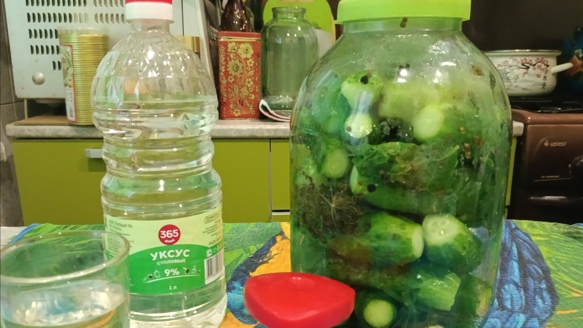 Дневник_ВОЛОГЖАНКИ