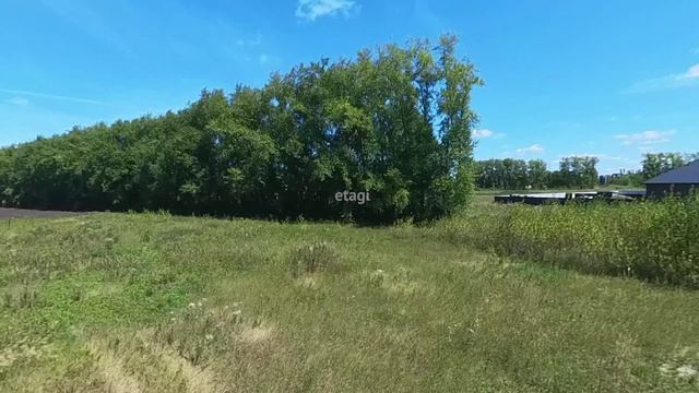 9164770, Зелёные Аллеи смотреть онлайн
