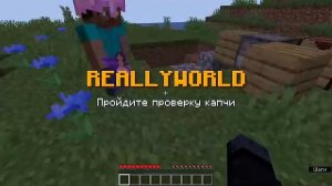 я играю в майнкрафт с мастиров