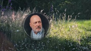 Три ЗАКОНА РАЗВИТИЯ на практике