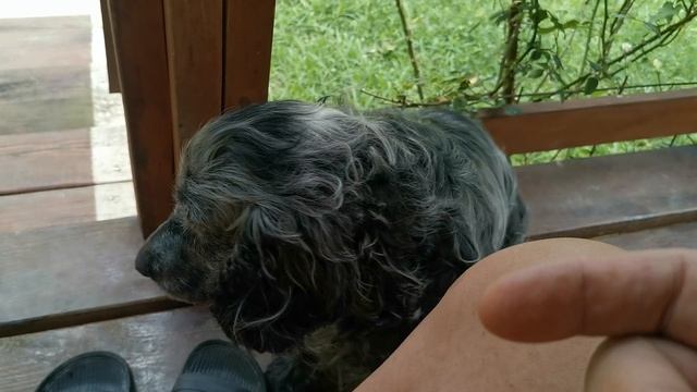 СОЧИ ГОРНОЕ ЛОО ДЕНЬ 08.08.2025 смотреть онлайн