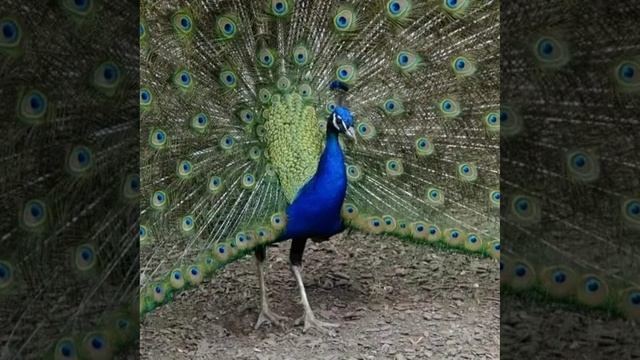 Это интересно-52