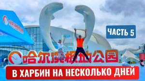 В Харбин на несколько дней. ч.5. Sunac Land (Ванда парк). Термальные источники Кленовые листья.