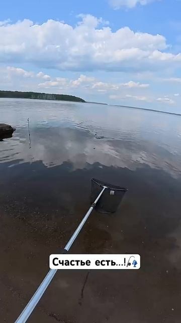 Вот это сыыын!!! #фидернаярыбалка #поклевка #сын