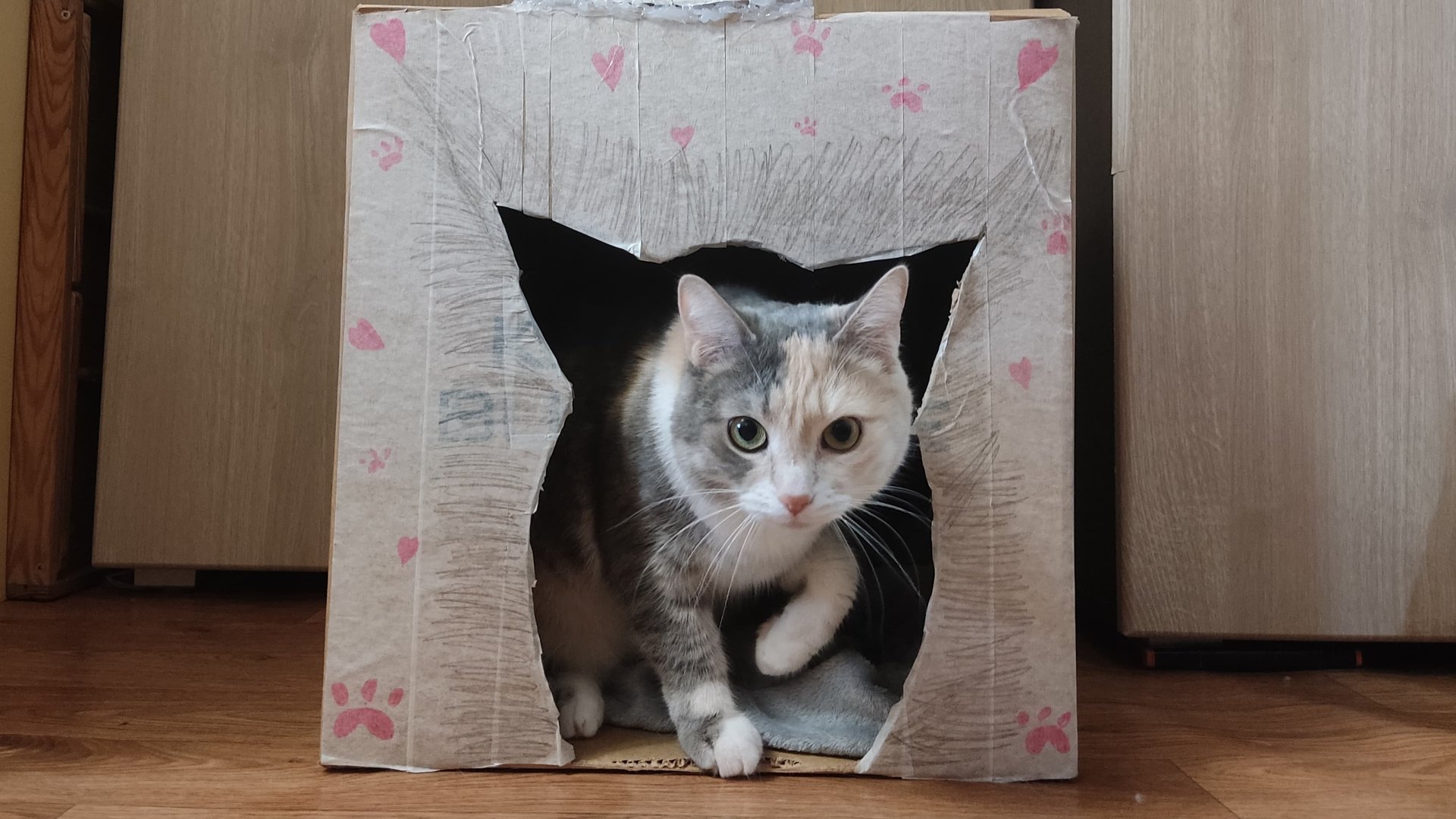 Васёна и Масёна