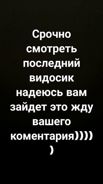 26 февраля 2024 г.