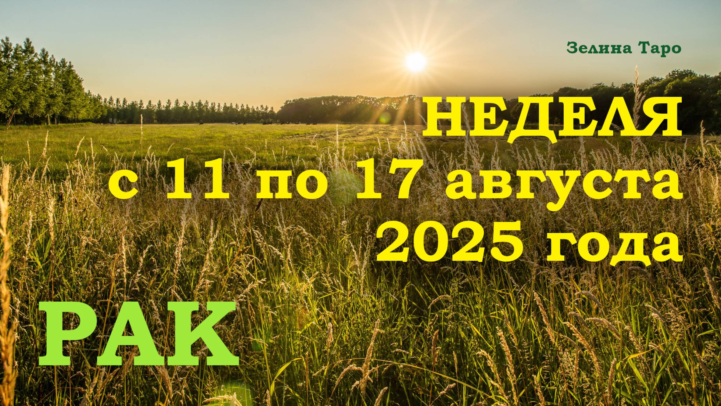 РАК | ТАРО прогноз на неделю с 11 по 17 августа 2025 года