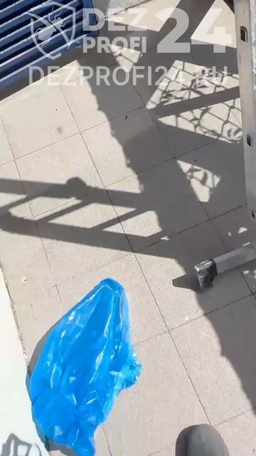 Удаление ос под крышей