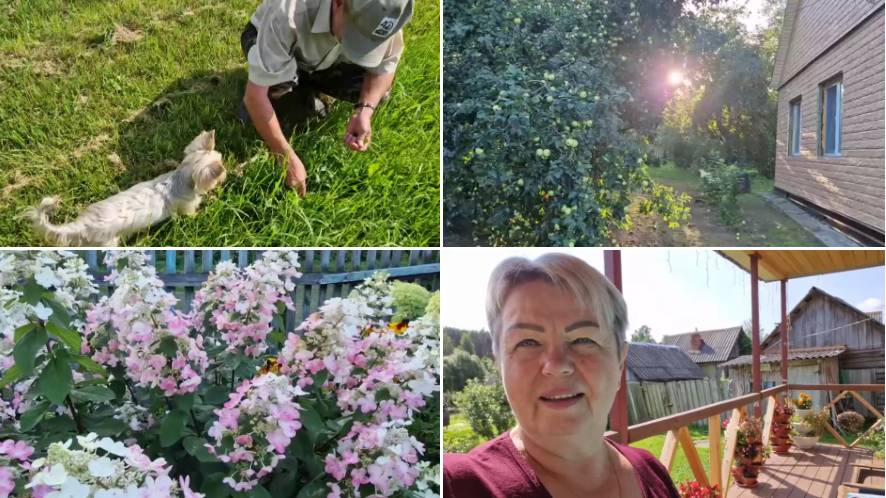 Из Москвы в деревню или пенсионеры на позитиве