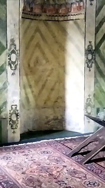 Светлана Кутузова